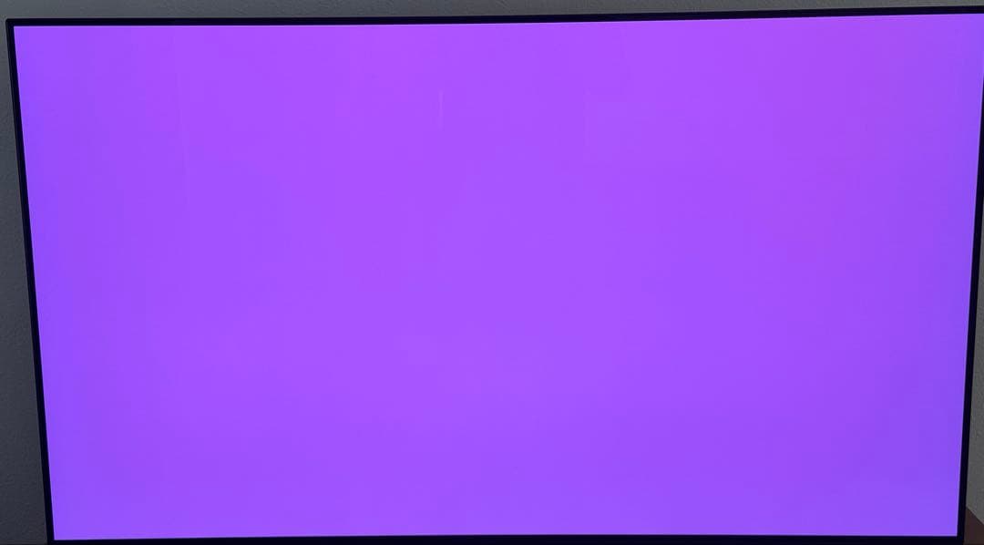 【最終値下げ】2021年モデル-LG有機ELテレビ55インチ