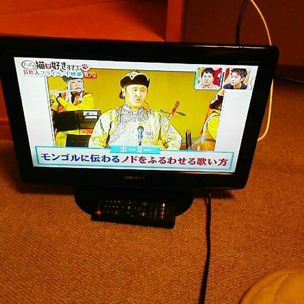 オリオン19型　液晶テレビ