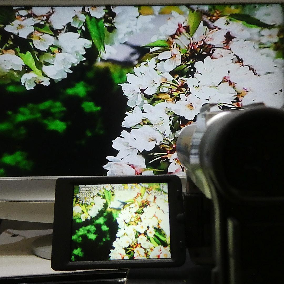 動作良好 パナソニック NV-GS50　MiniDV ビデオ ダビングに最適 !