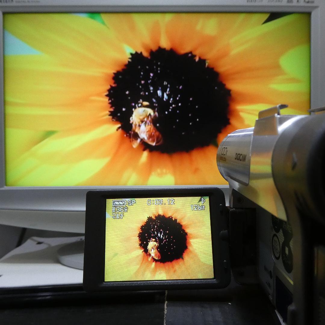 動作良好 パナソニック NV-GS50　MiniDV ビデオ ダビングに最適 !