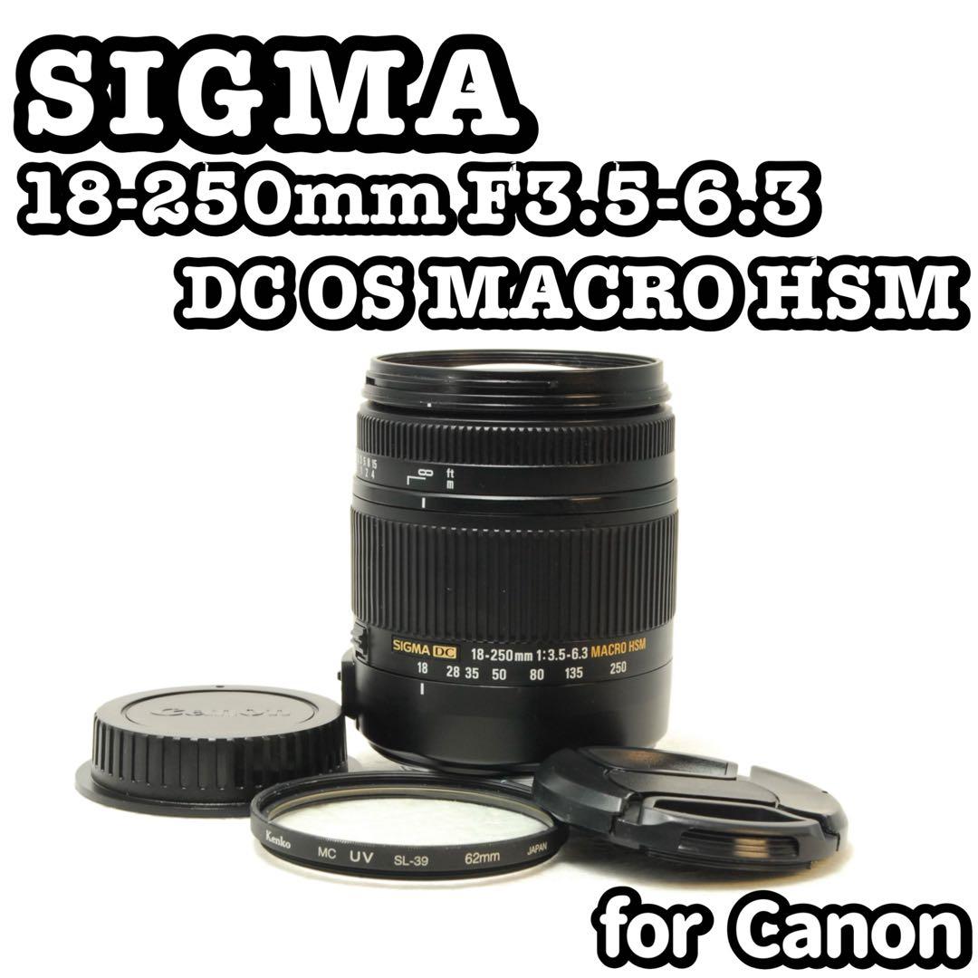 すずめ様_フォロー割❤️SIGMA 18-250mm DC HSM MACRO