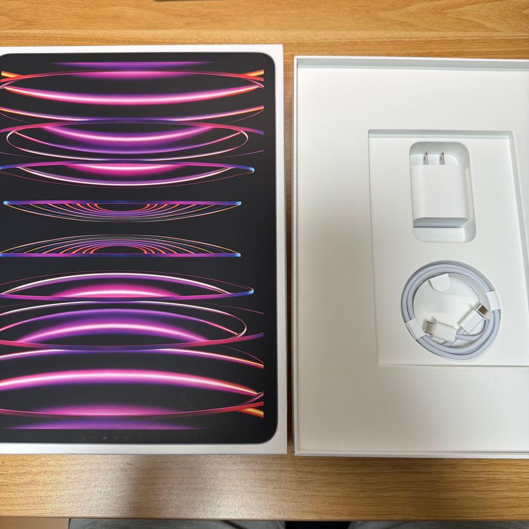 iPad Pro 12.9インチ 第6世代 256GB セルラー