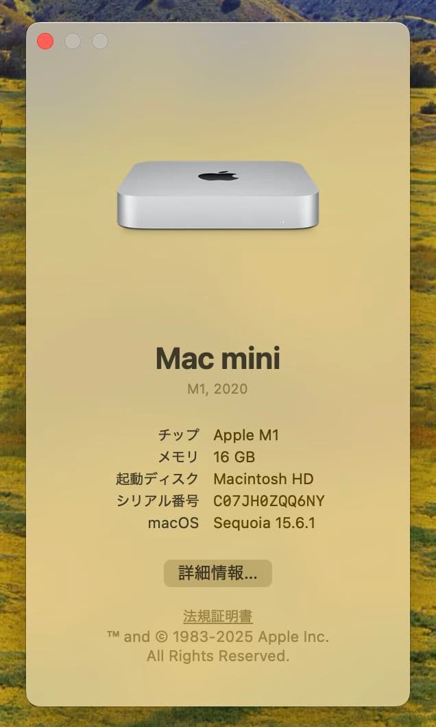 Apple Mac mini M1 本体 1TB/SSD 16GB