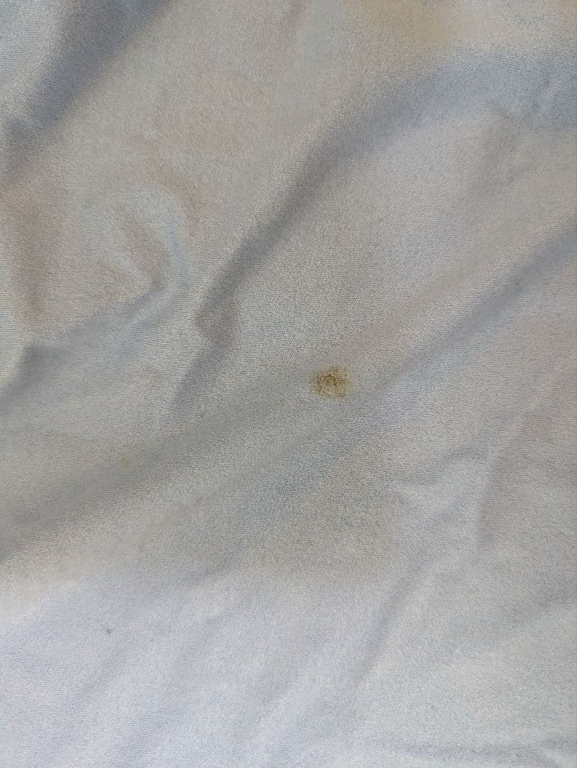 藤尾　Canon EOS Kiss M