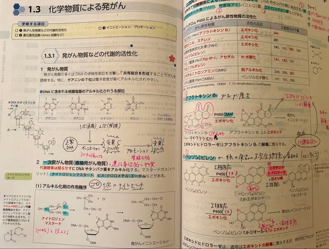 第110回 薬剤師国家試験 薬ゼミ 青本・青問