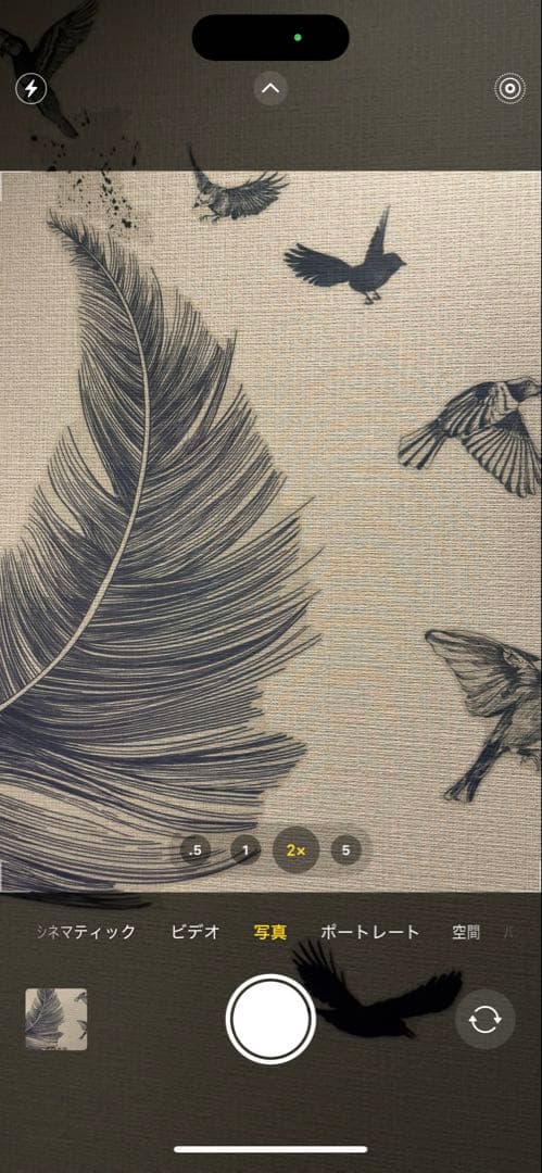 Apple iPhone 15 Pro Max 本体 512GB