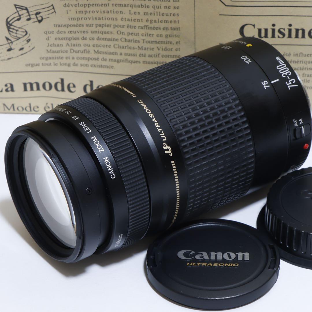 ◇ みずうみ ◇Canon純正 75-300mm II 超望遠レンズ!!◇