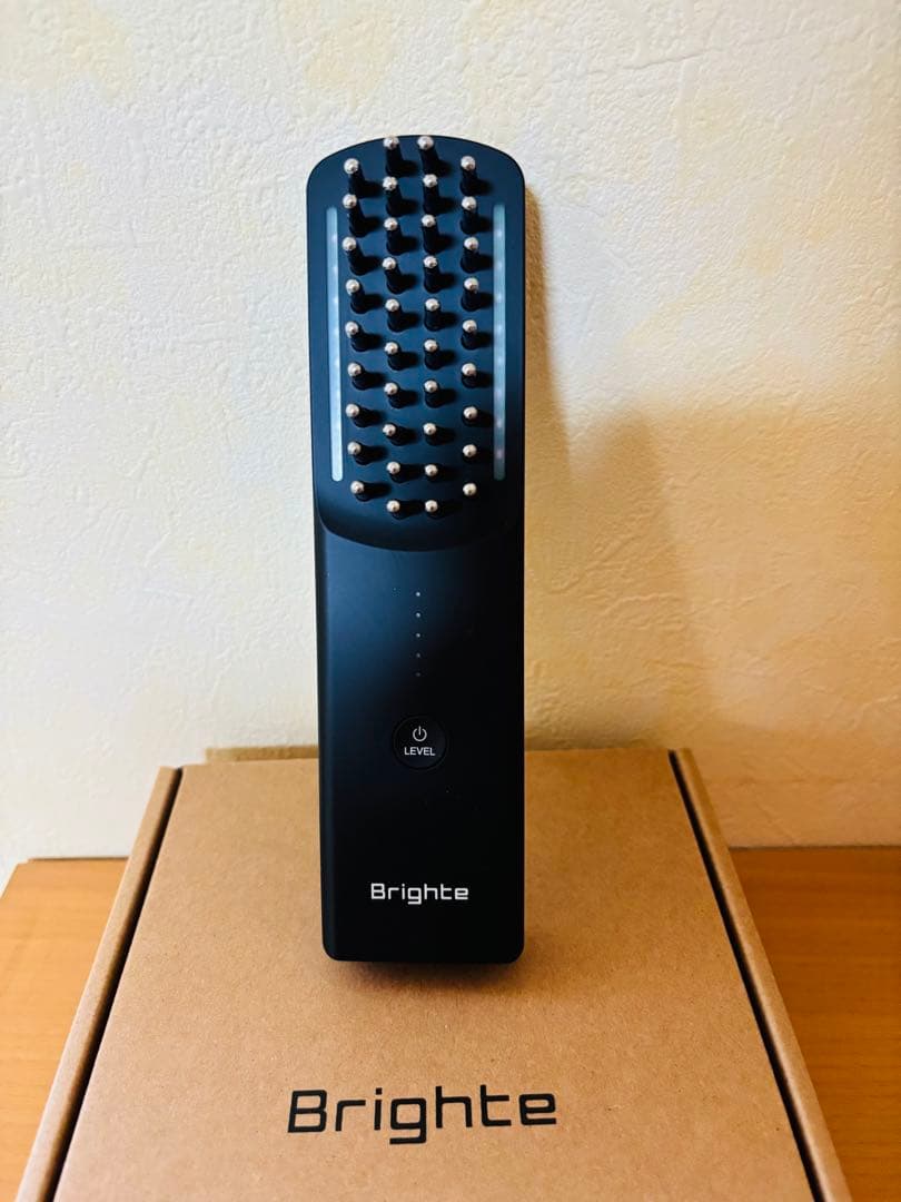 24時以内に発送♪ 【美品】ブライトエレキブラシ