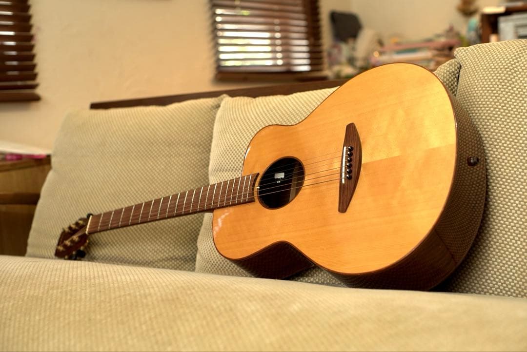 baden ギター　A style ベーデン　ハードケース付