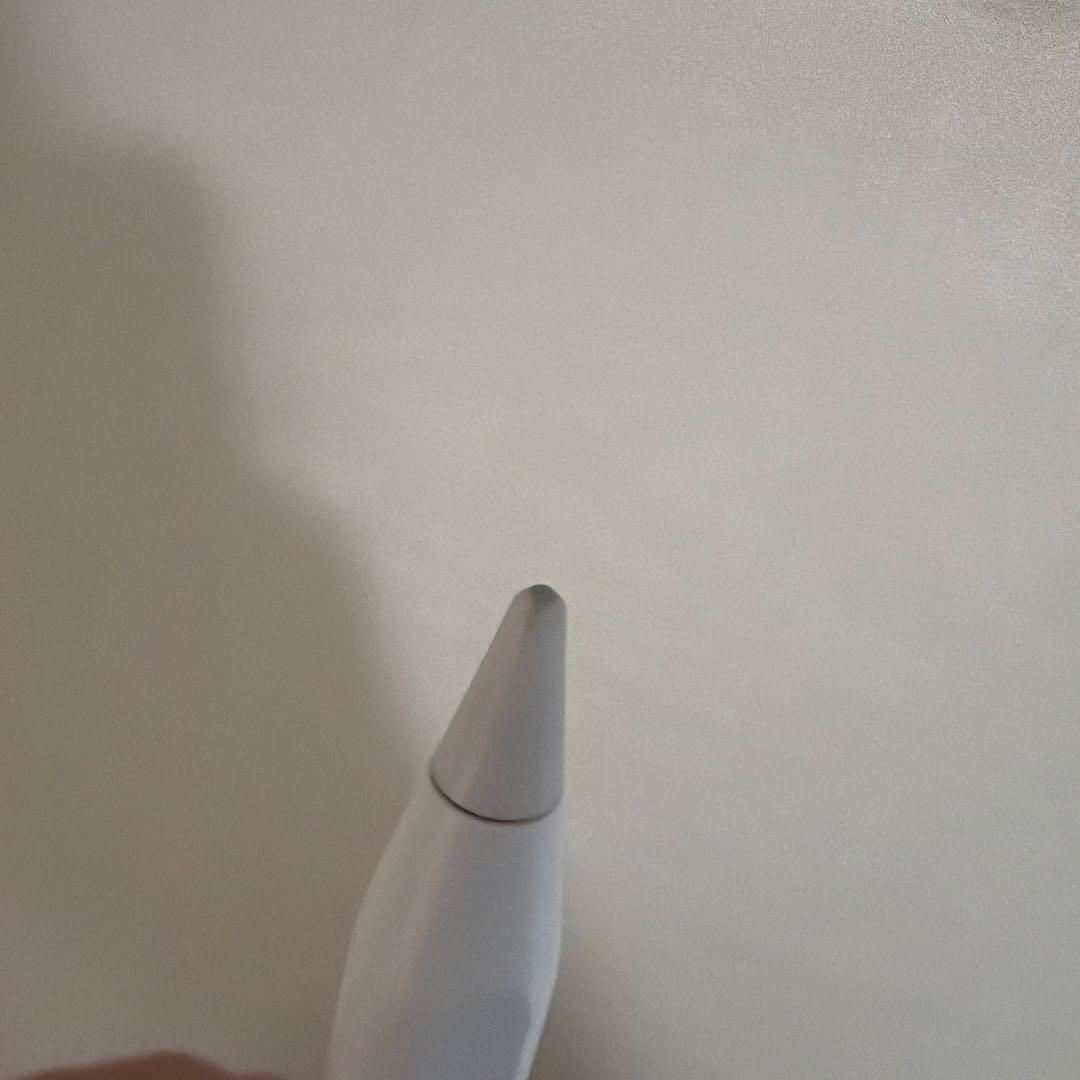 Apple Pencil ホワイト type c usbc