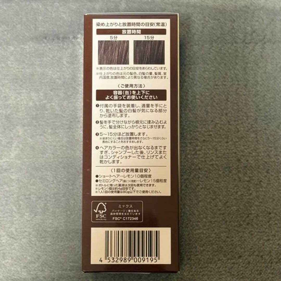 ÉCLAT ボタニカルエアカラーフォーム ダークブラウン 80g 4本セット