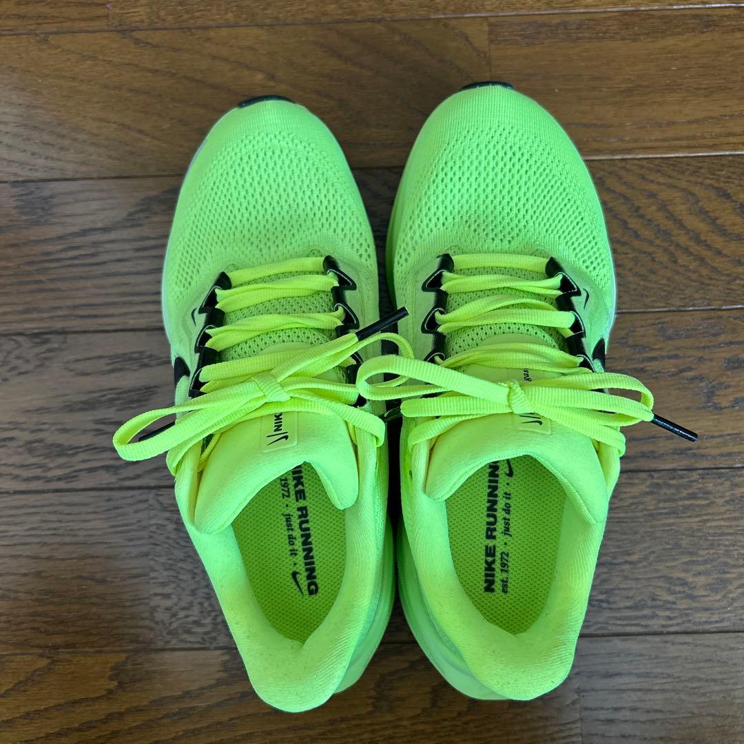 23cm ZOOM PEGASUS 41 NIKEペガサス41