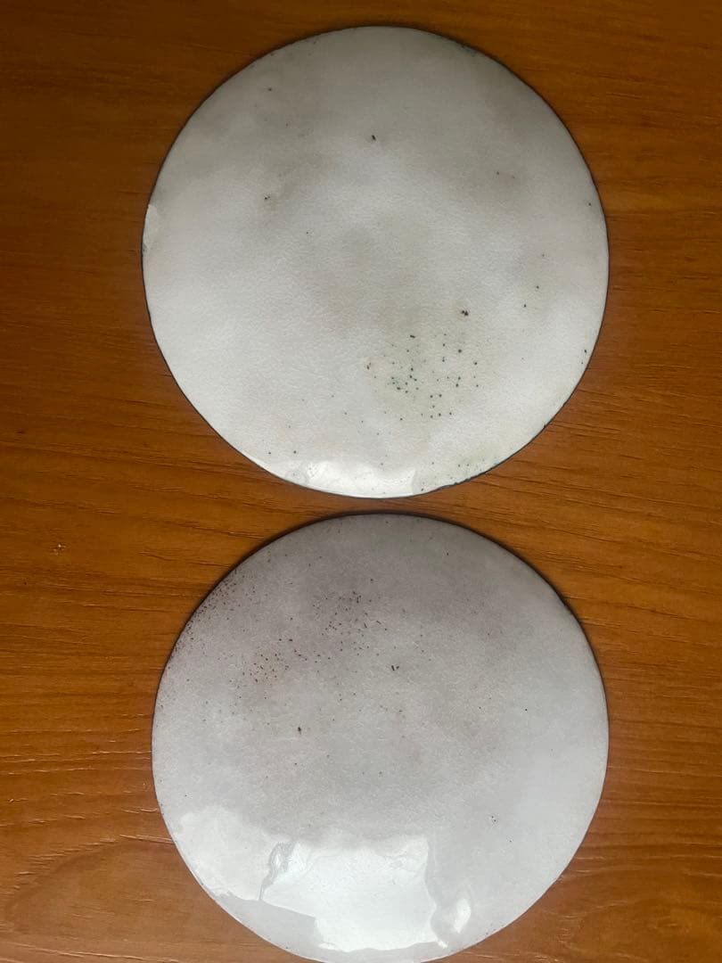 広瀬陽 七宝焼 皿 2枚セット（2019年 白日初個展作品）／希少