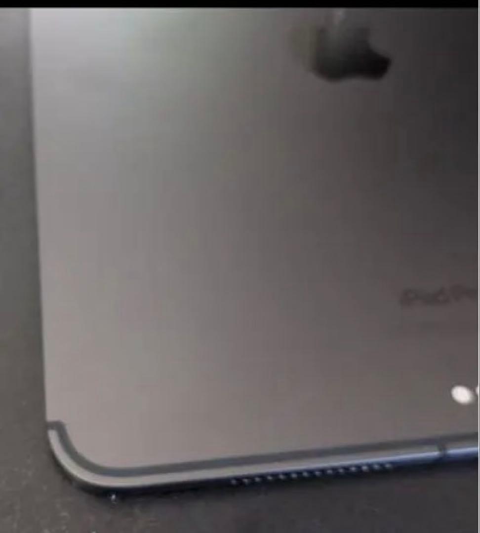iPad Pro M4 Cellular 11インチ　 256GB SIMフリー