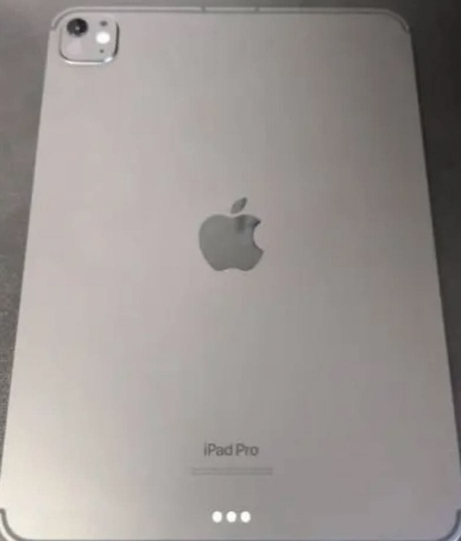 iPad Pro M4 Cellular 11インチ　 256GB SIMフリー
