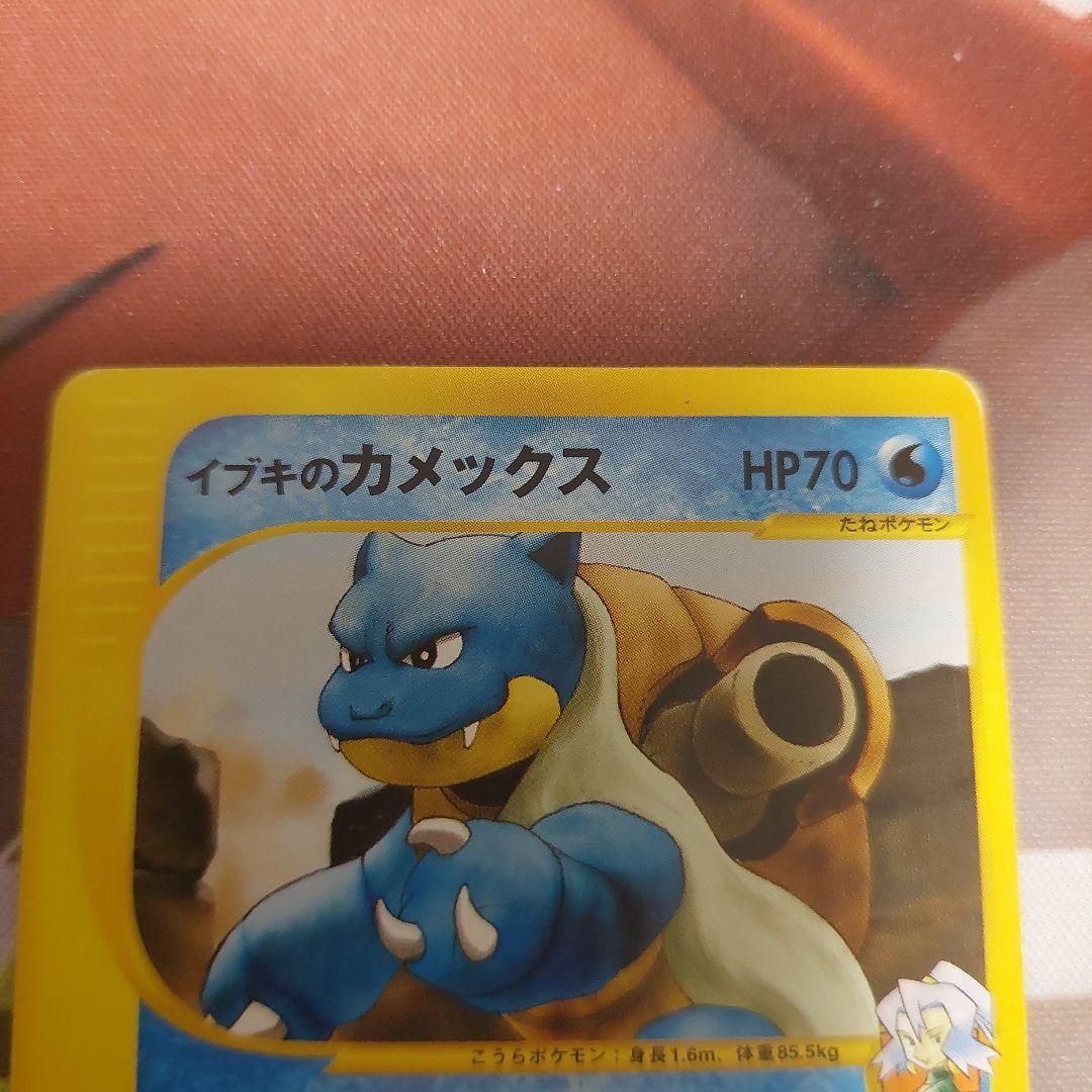 イブキのカメックス