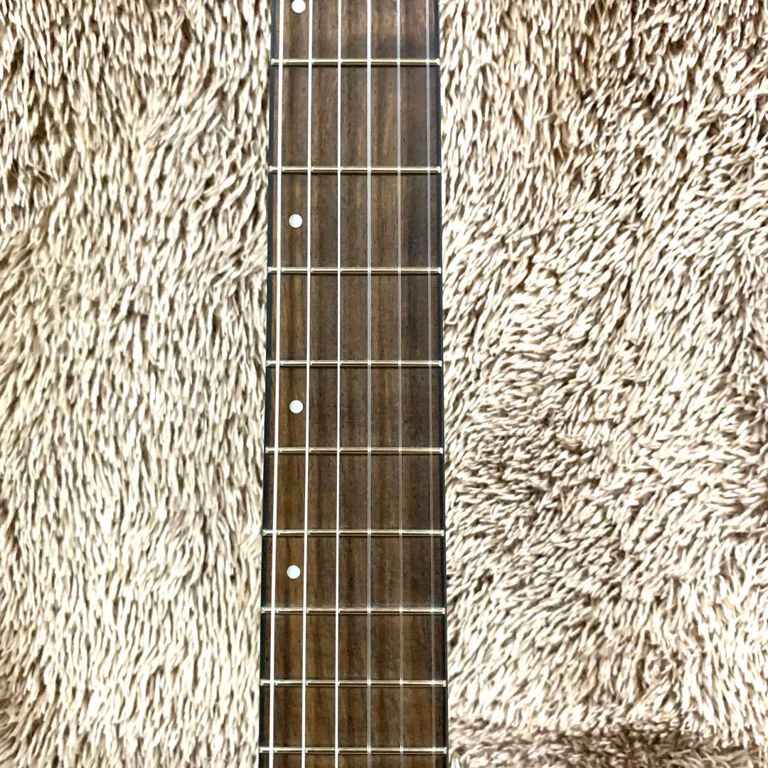 【外観美品・ジャンク】アイバニーズ　GA-30TCE/NT エレガットギター