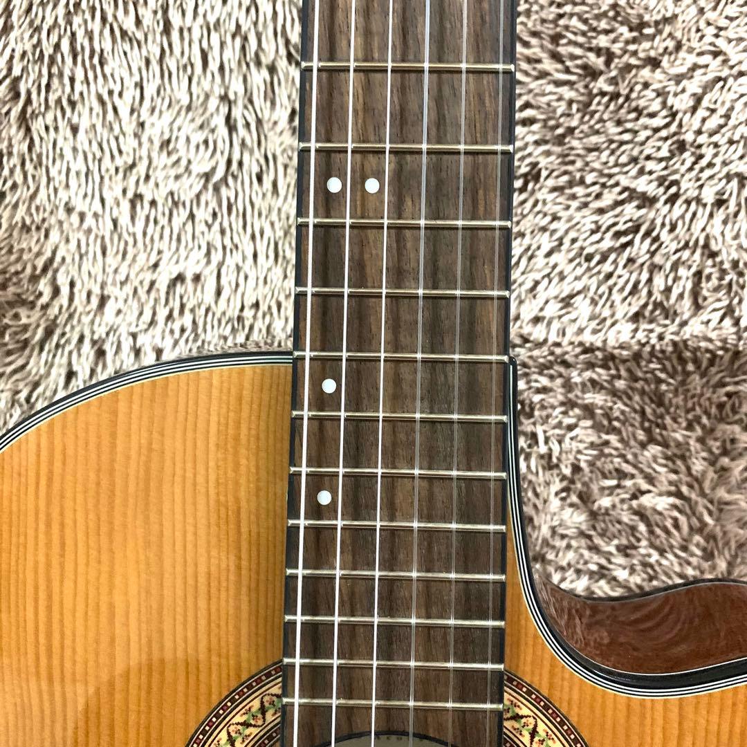 【外観美品・ジャンク】アイバニーズ　GA-30TCE/NT エレガットギター