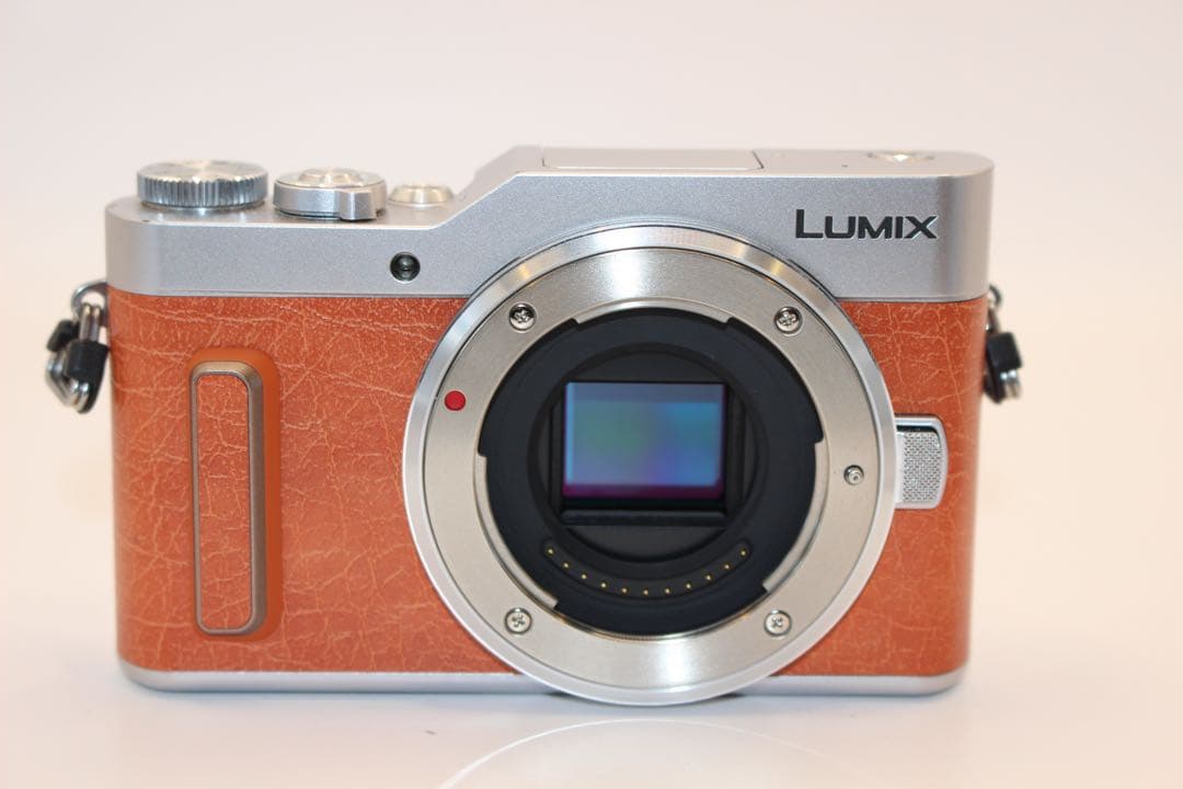 ★お買い得！新品級ショット数33回★ LUMIX DC-GF10 レンズキット