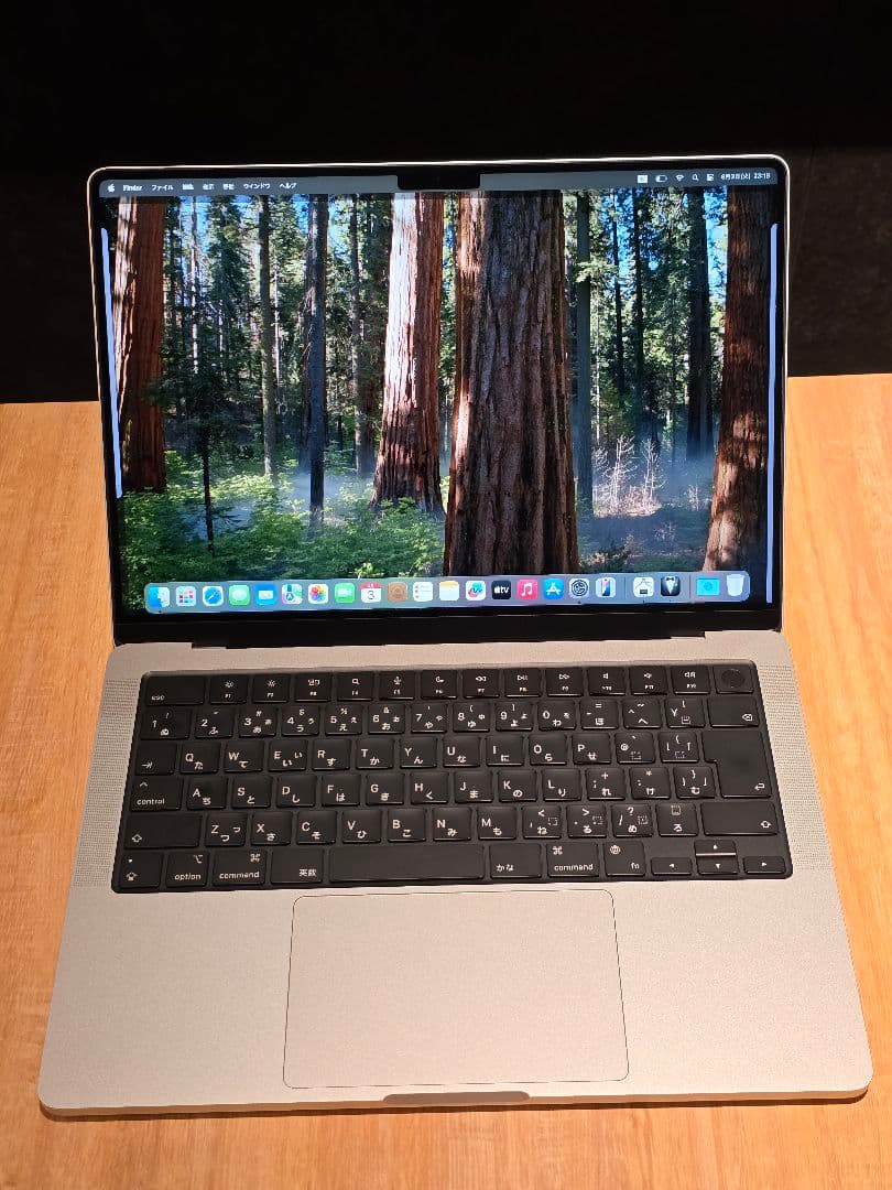 MacBook Pro 14インチ M2 Pro 32GB 1TB シルバー