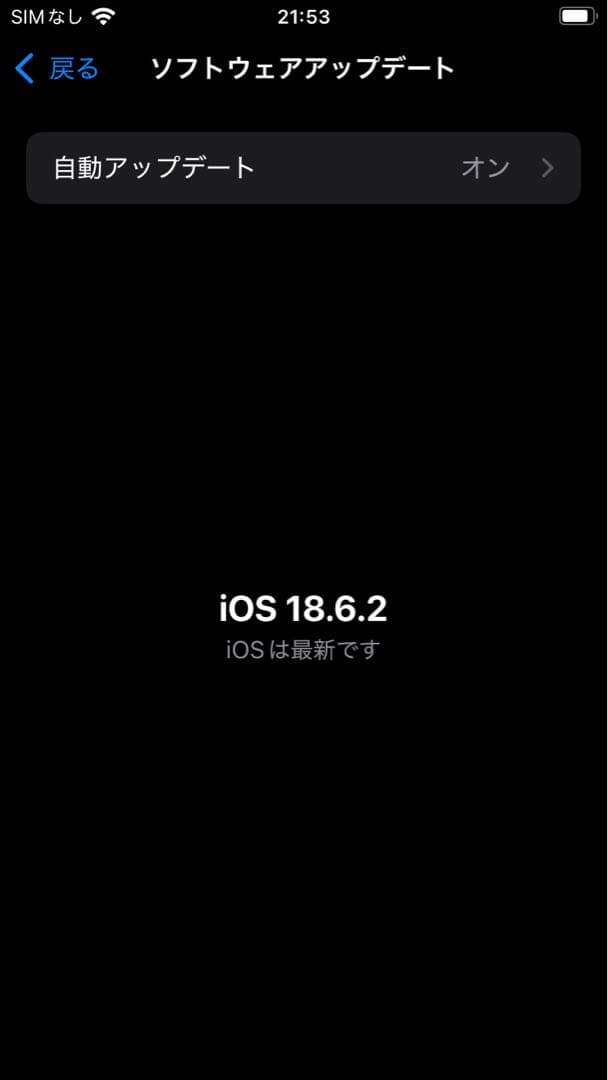 スマートフォン本体 Apple iPhone SE 256GB PRODUCT(RED)