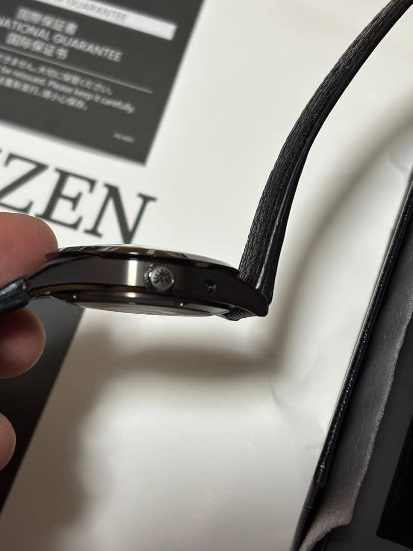 新品未使用ザ・シチズンIconic Nature Collection 「月」