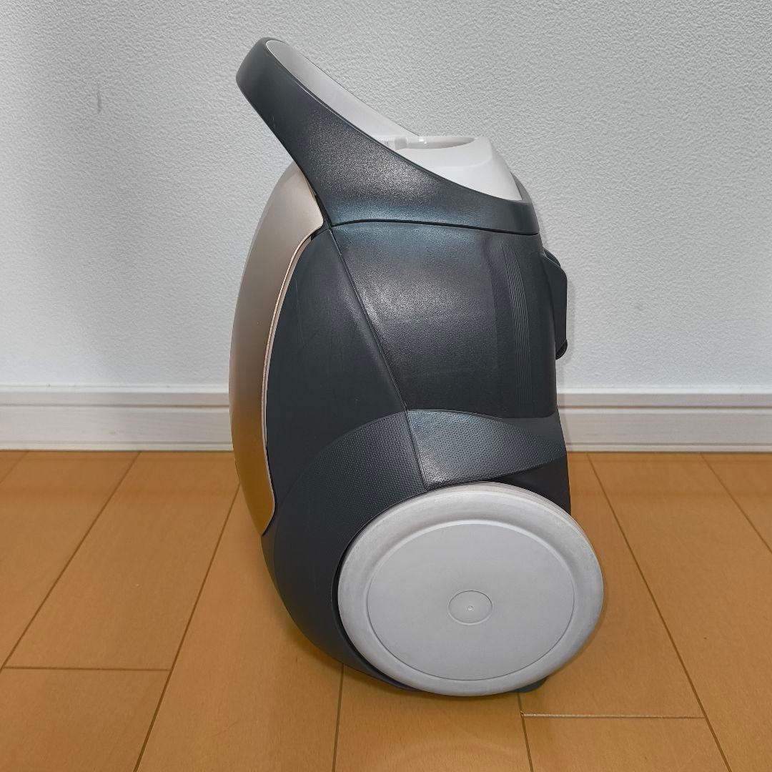 パナソニック 紙パック式 電気掃除機　MC-PK21A-P　2020年製