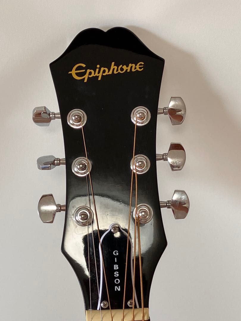 EpiphoneDr-100レフティ