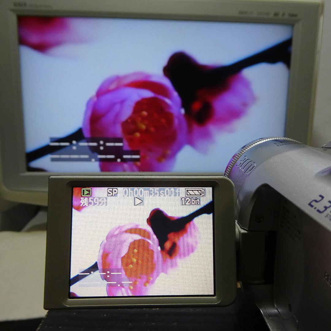 動作良好 パナソニック NV-GS150 MiniDVビデオカメラDVD化に最適