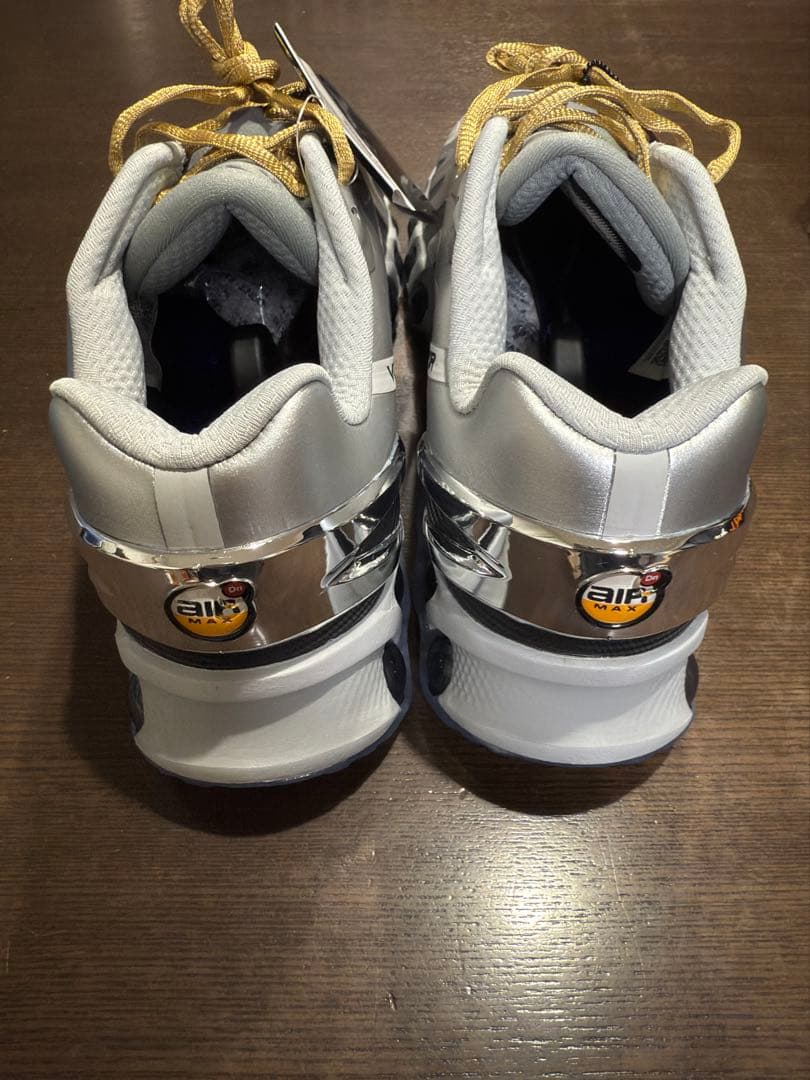 靴 VictorVictor Worldwide Nike Air Max DN8