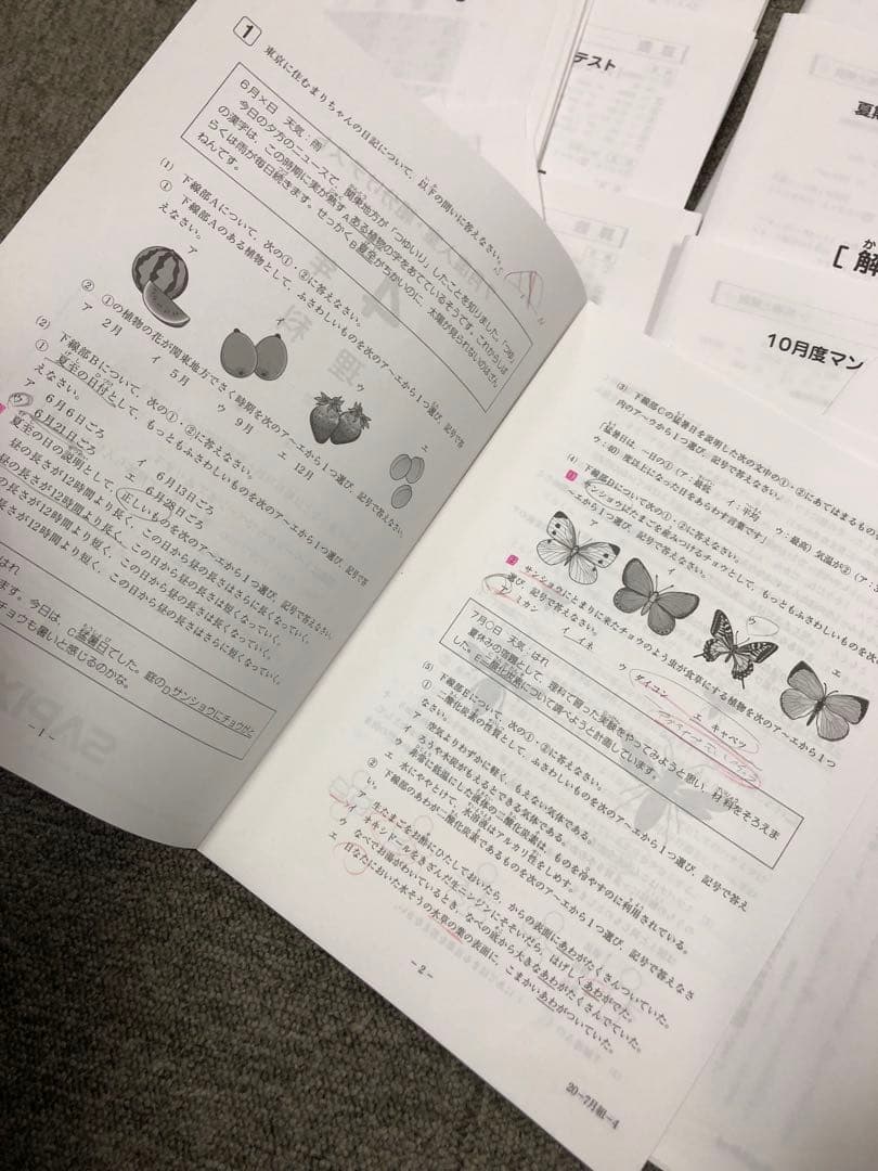 2020年度　サピックス4年マンスリー確認\復習/組分テスト11回中古原本
