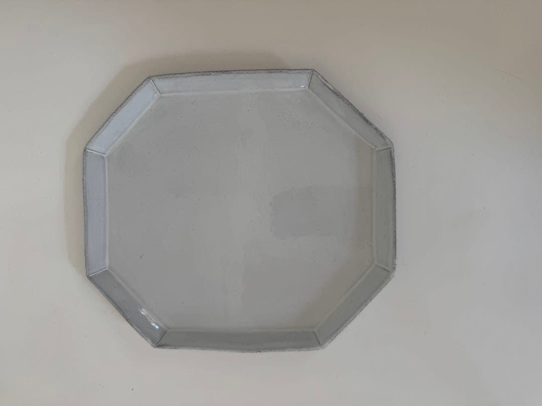 【P】ASTIER de VILLATTEアスティエディナープレート 24cm