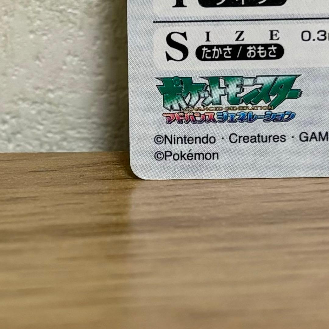 【1万円値下済】No.2「イーブイ、将来の夢は？」