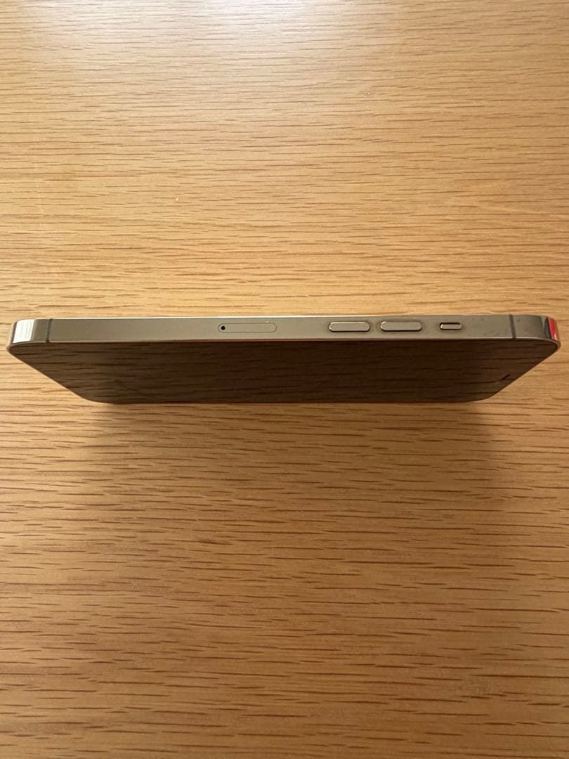 Apple iPhone 12 Pro Max オマケ付き