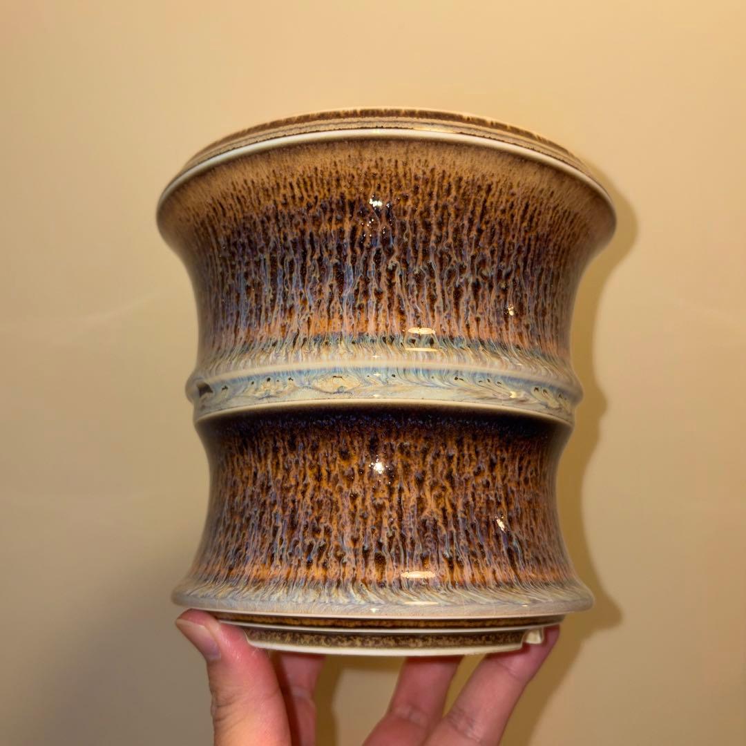 XL 盆栽鉢 作家鉢 陶器 真柏 糸魚川 皐月 五葉松 黒松 アガベ チタノタ