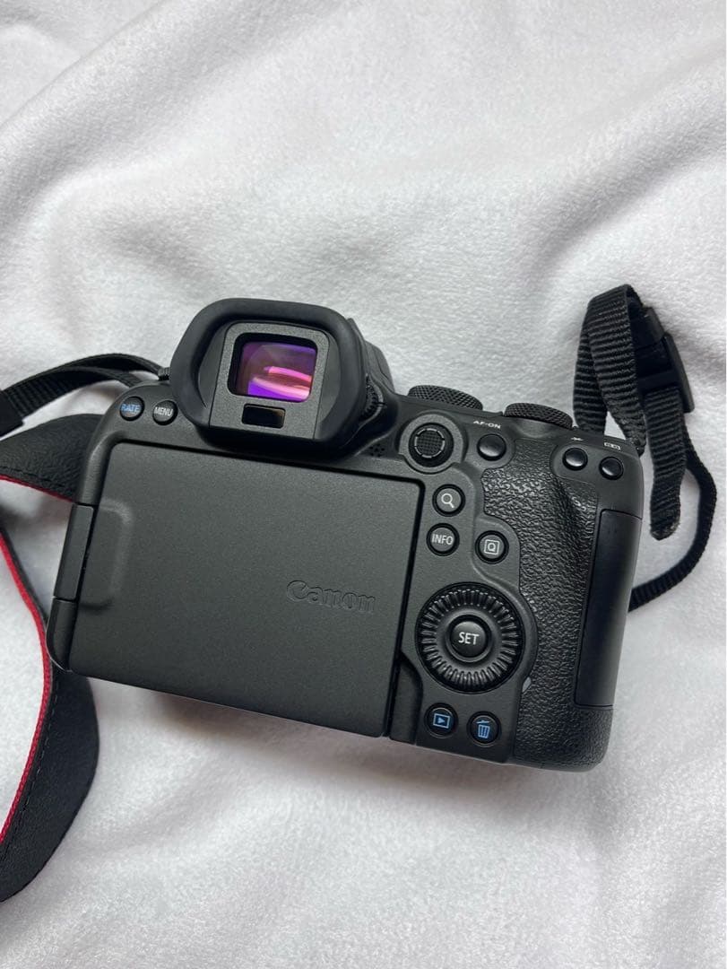 Canon EOS R6 + レンズ Canon RF 24-105mm STM