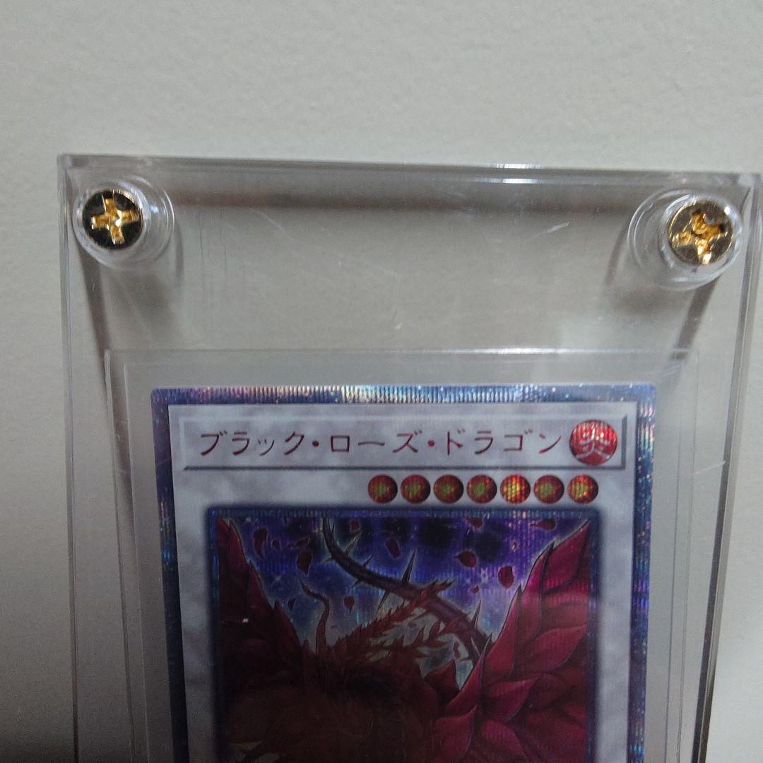 ブラック・ローズ・ドラゴン