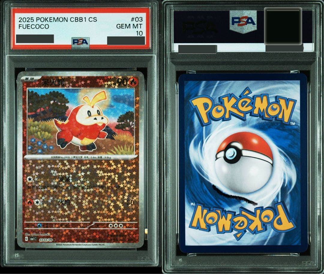 【みぃ】PSA10 ホゲータCBB1 中国 海外 ジェムパック 2枚セット