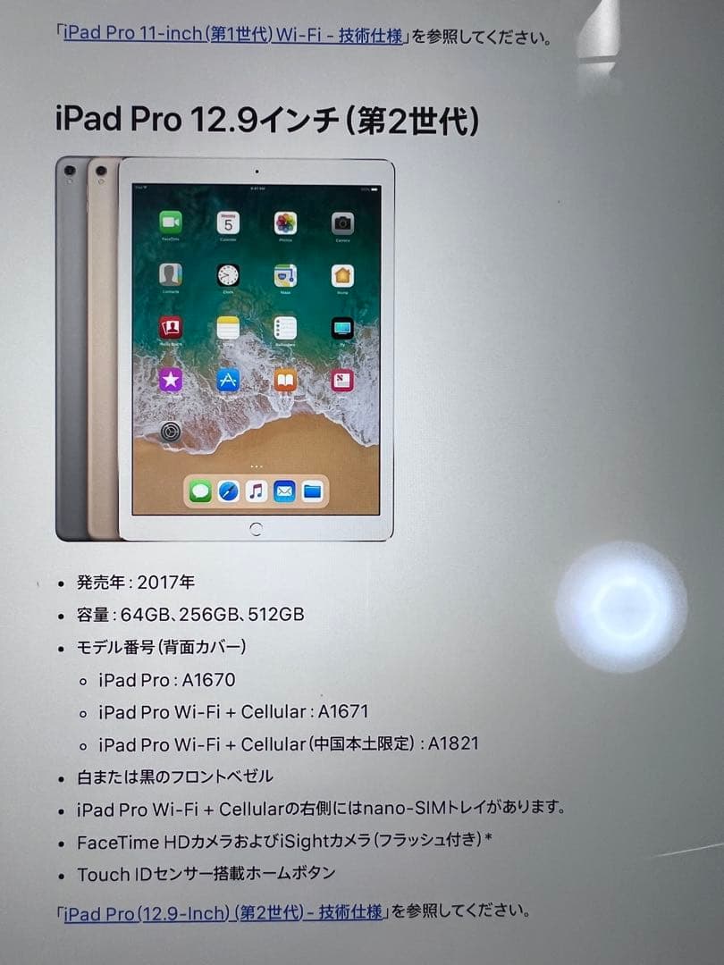 iPad Pro 12.9インチ　第二世代　256gb 液晶不良