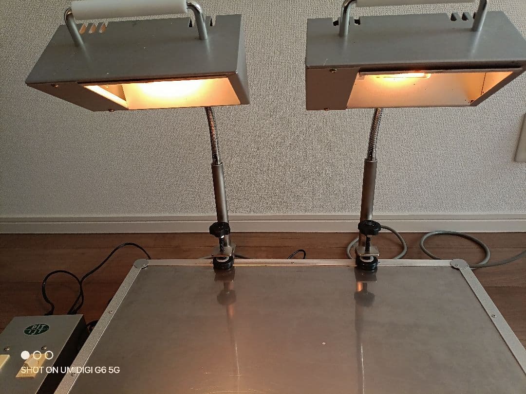 2灯式飴ランプ　パンジャパントレーディング（防風ガード付）