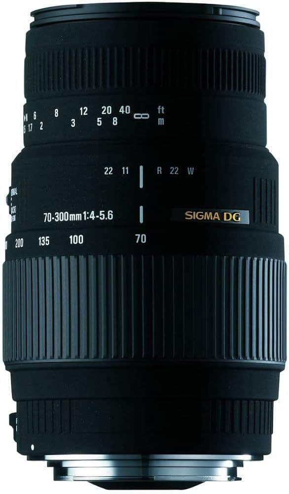 SIGMA 70-300mm F4-5.6 DG MACRO ズームレンズ