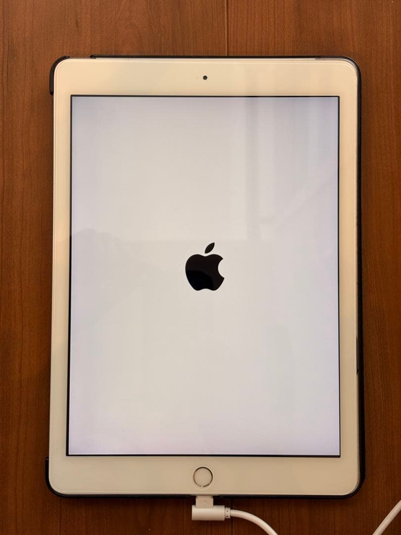 Apple iPad 第5世代本体 おまけ付きジャンク