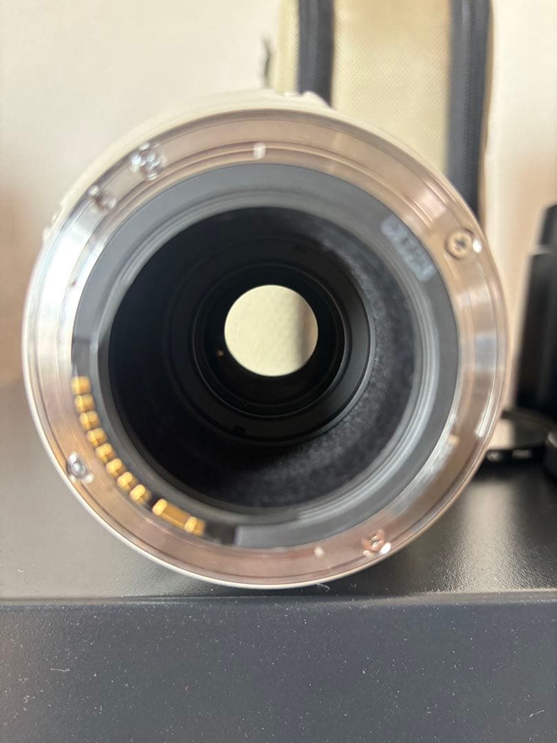 Canon EF 100-400mm f4.5-5.6LIS望遠ズームレンズ