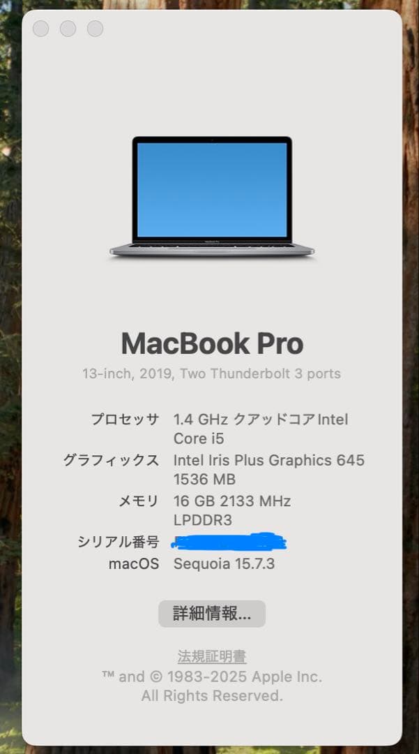 MacBook Pro 13インチ 2019 512GB 付属品完備