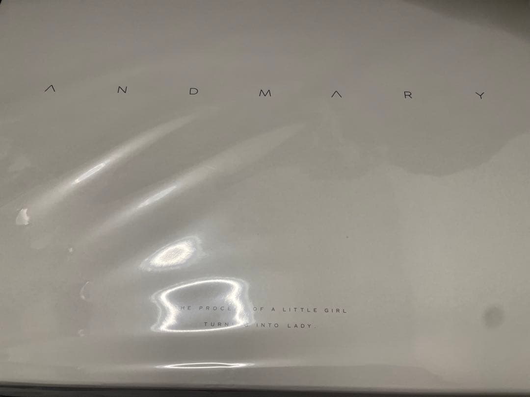 バッグ Valentine ribbon leather bag / black