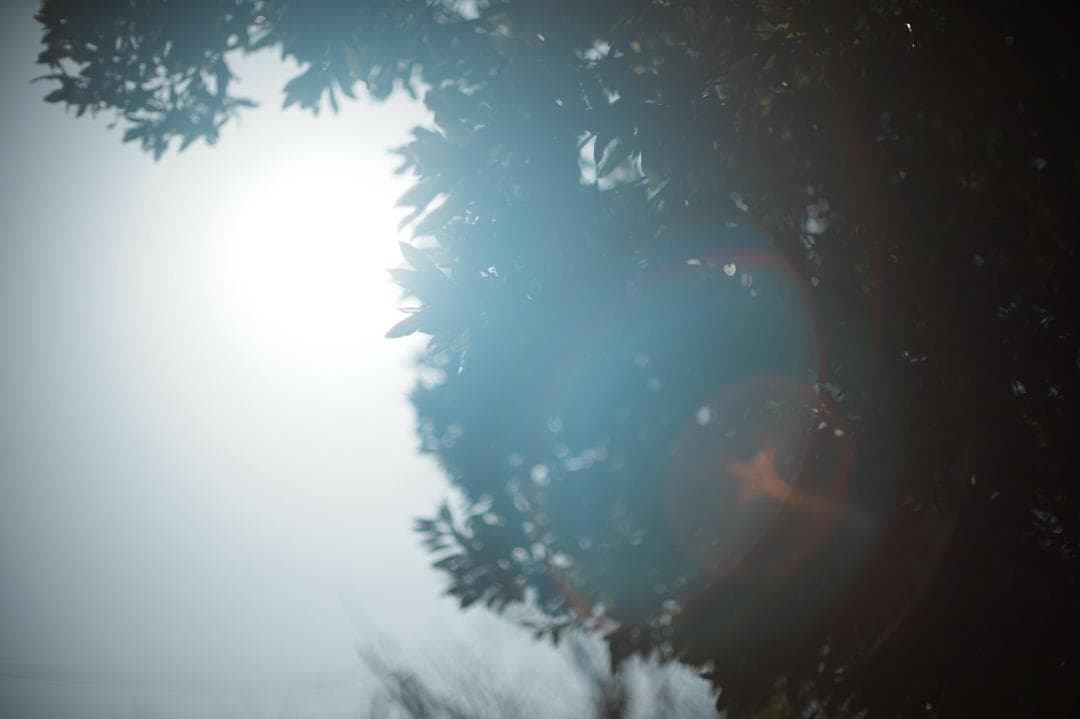 【鷹の目】MC ROKKOR-PG 58mm F1.2 前期 518