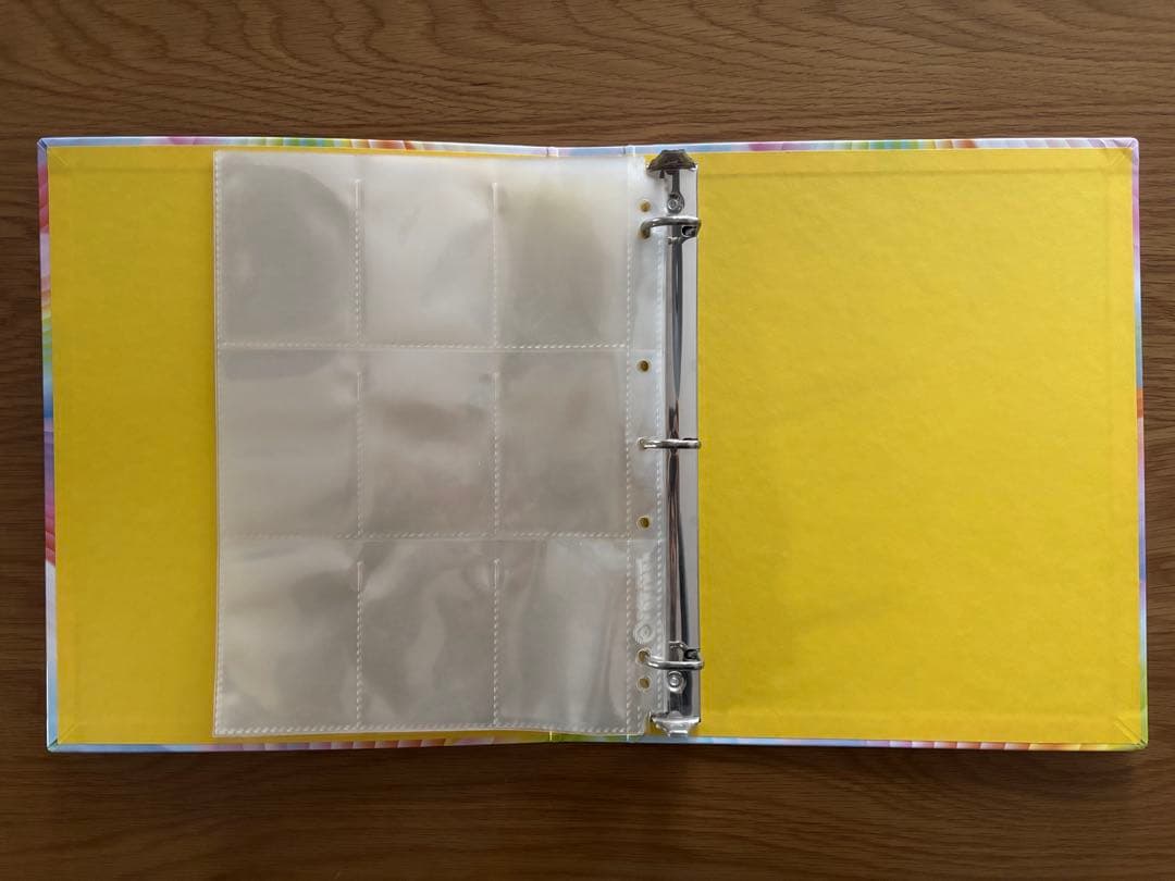 ポケモンカード　ファイル