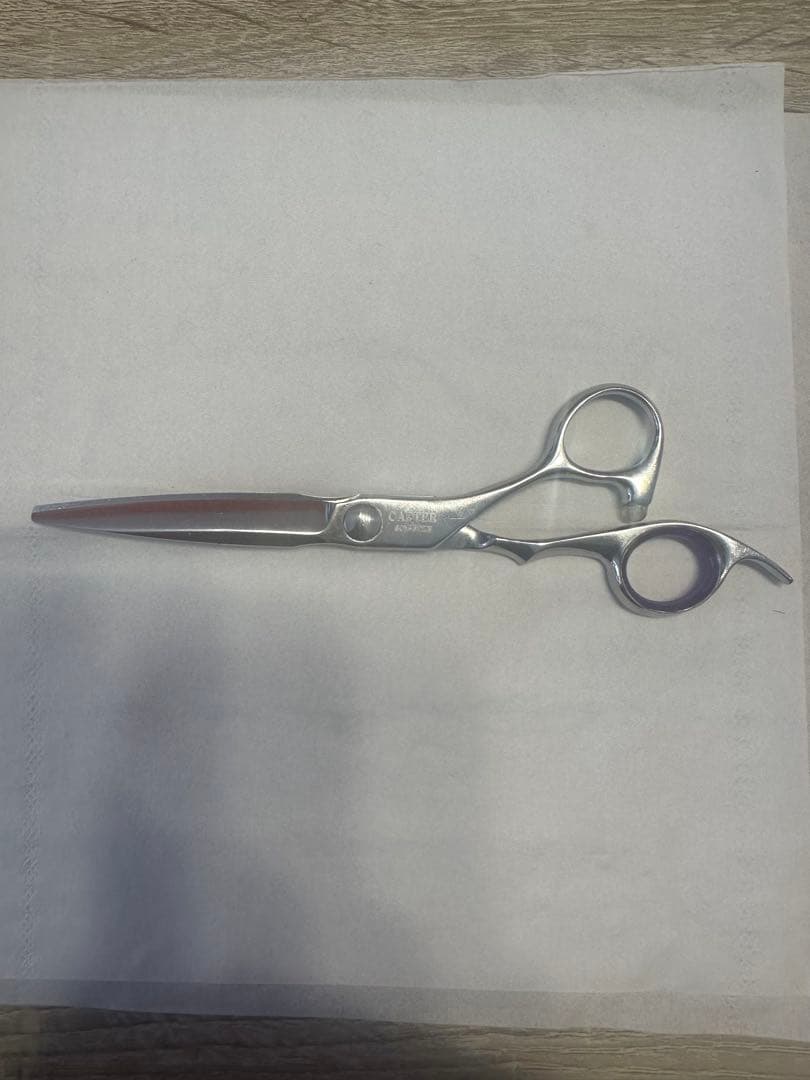 CARTER シザー ステンレス製散髪用