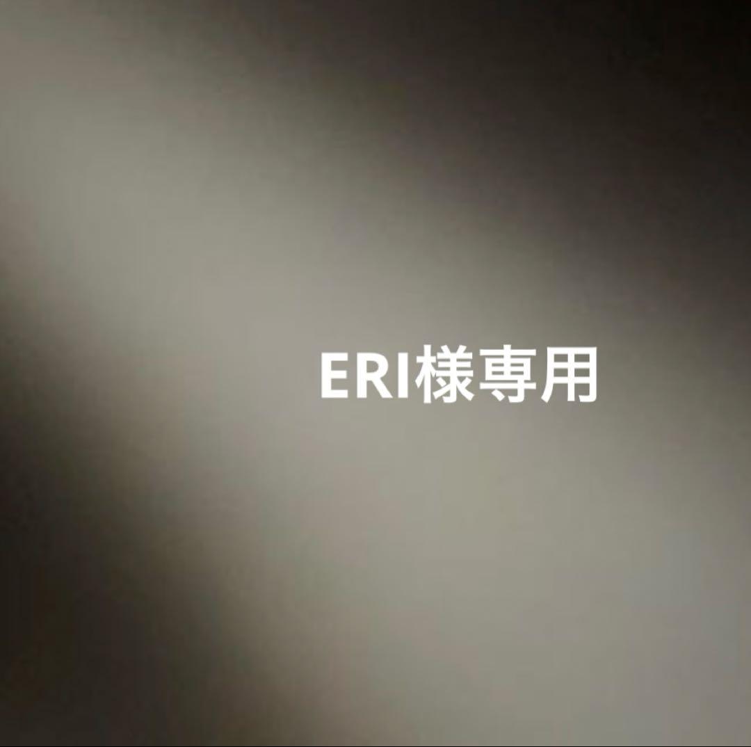 メンテナンス ERI