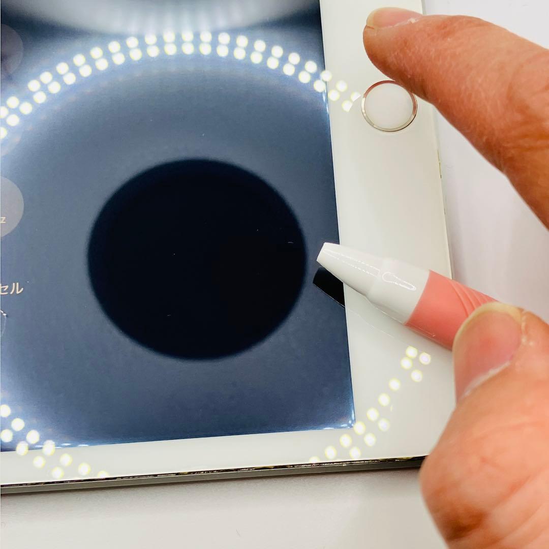 【画面浮きジャンク】iPad mini 5 64GB バッテリー100%